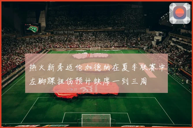 热火新秀迈伦加德纳在夏季联赛中左脚踝扭伤预计缺席一到三周