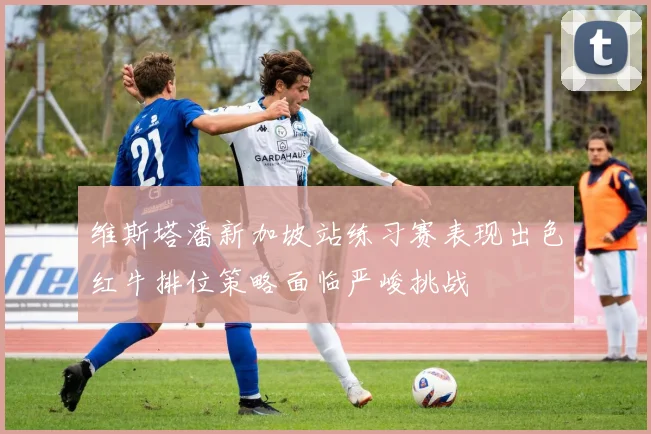 维斯塔潘新加坡站练习赛表现出色红牛排位策略面临严峻挑战