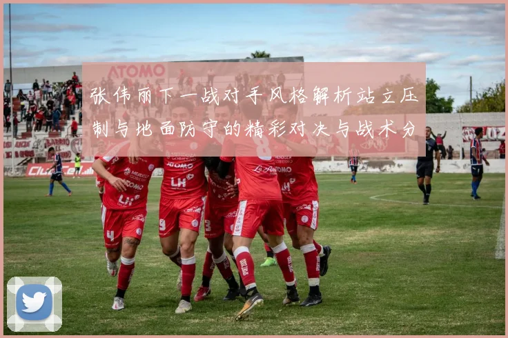 张伟丽下一战对手风格解析站立压制与地面防守的精彩对决与战术分析